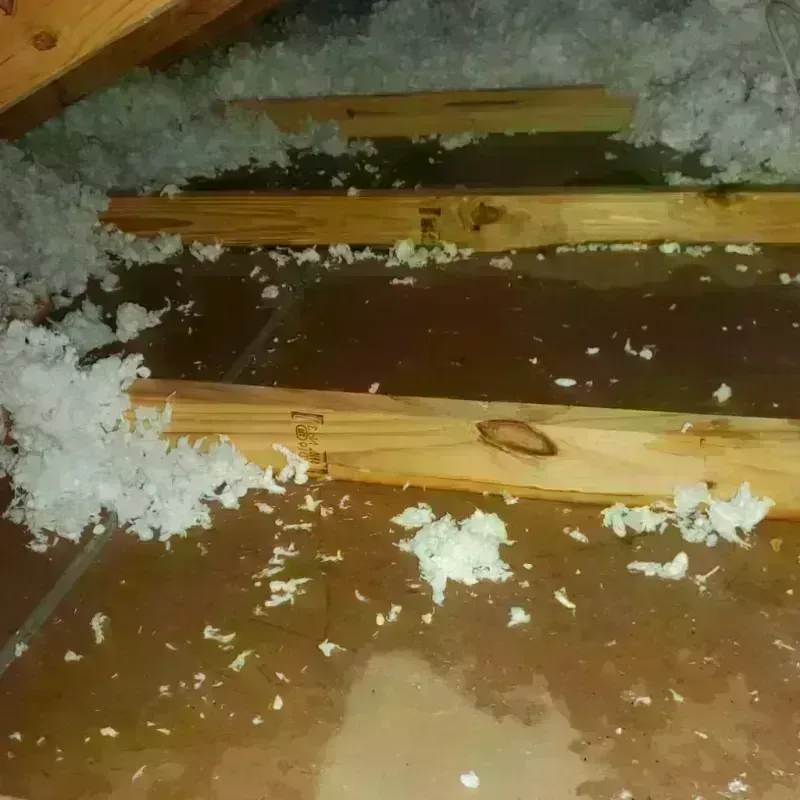 Attic Water Damage in Columbus County, NC