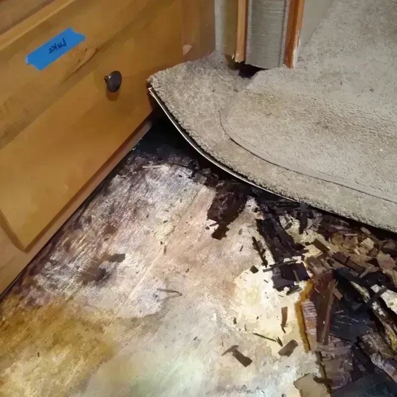 Wood Floor Water Damage in Columbus County, NC